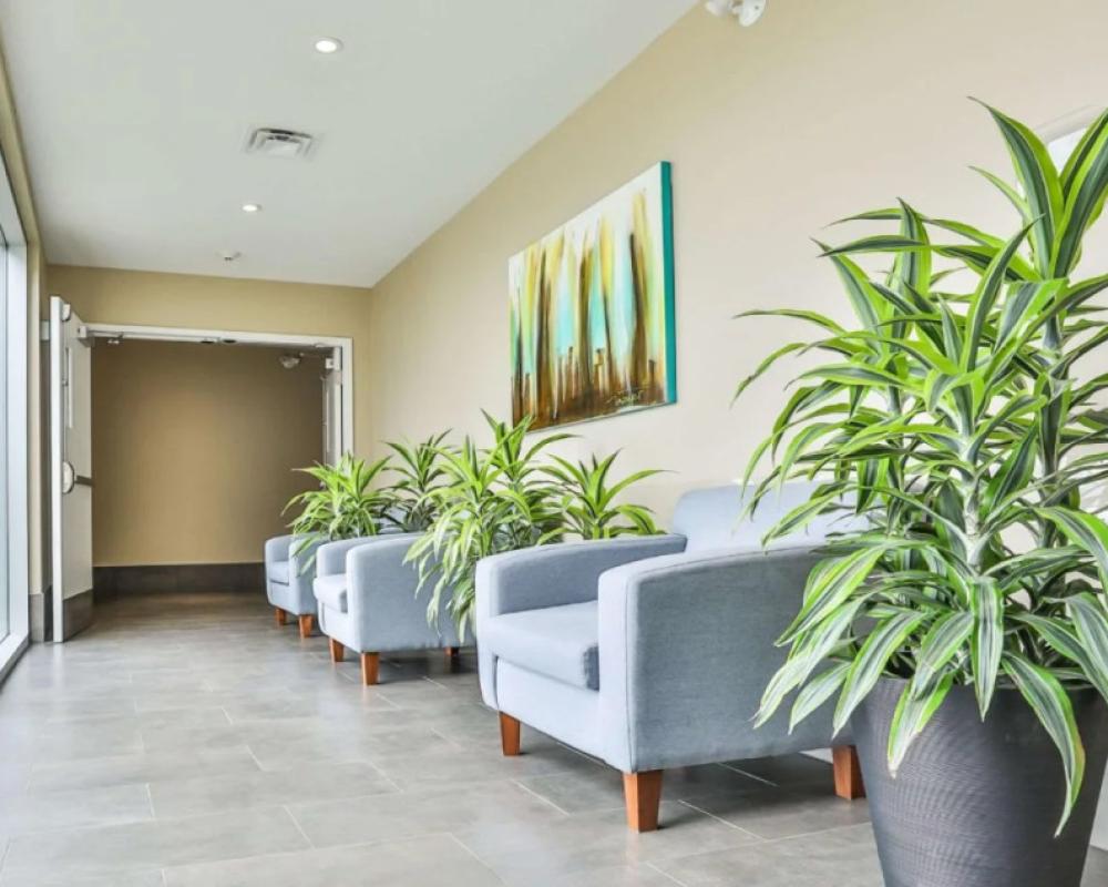 фото Comfort Inn and Suites St Jerome