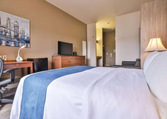 Comfort Inn and Suites St Jerome