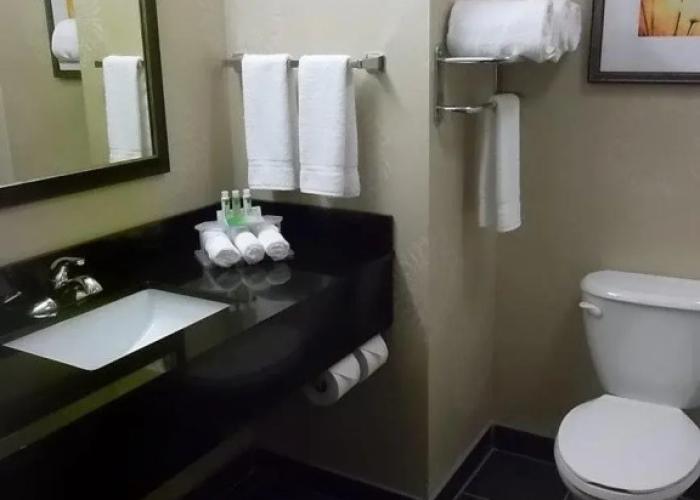 Holiday Inn Express Hotel & Suites Brookhaven by IHG