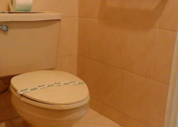 Corona Hotel & Spa