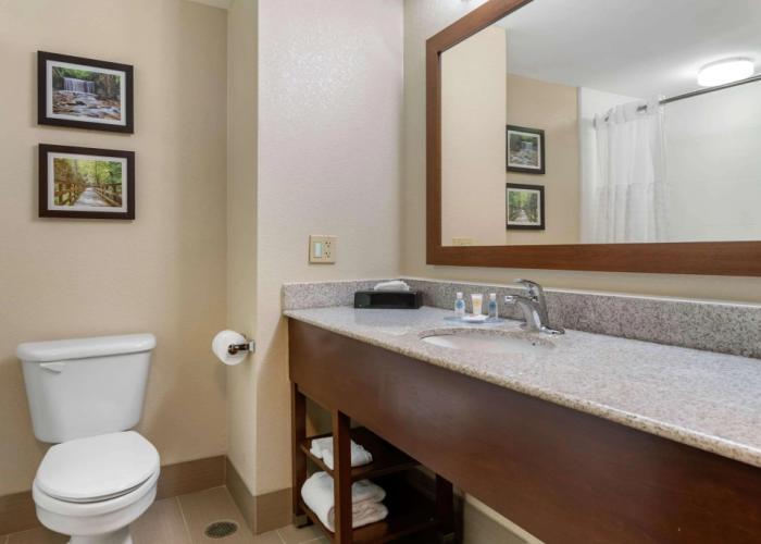 Comfort Inn & Suites Columbus East