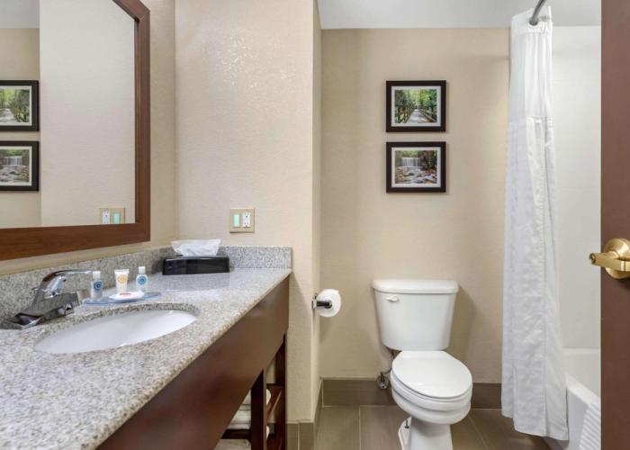 Comfort Inn & Suites Columbus East