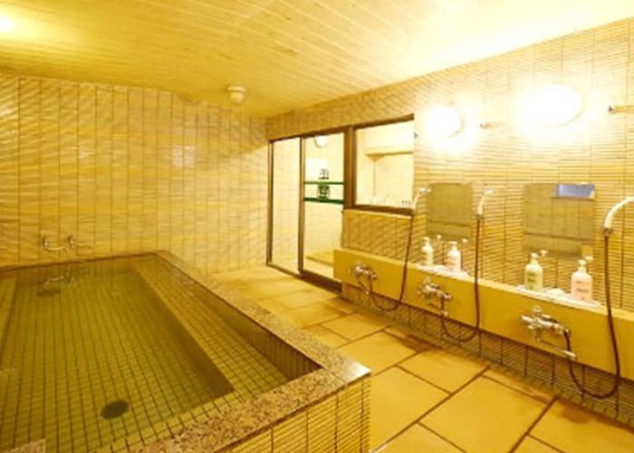 Hotel Fukui Castle