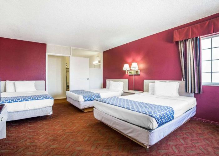 Econo Lodge Fallon Naval Air Station Area