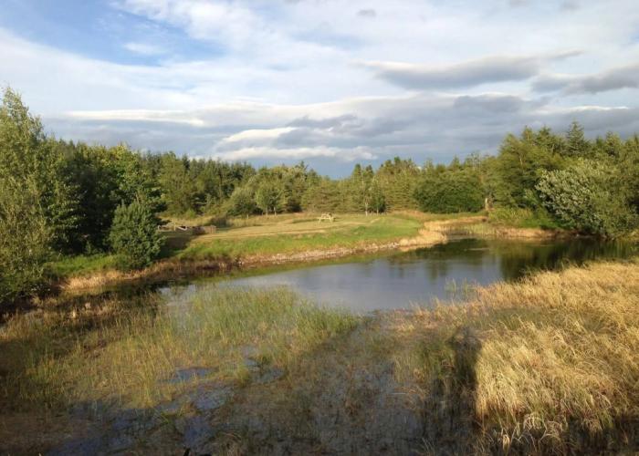 Willowbarn Self-Catering Rafford