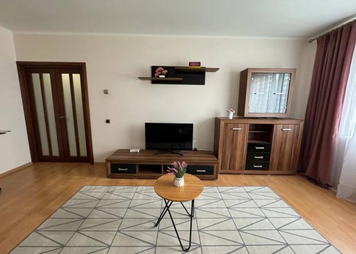 Pereulok Dzerzhinskogo 10 Apartments