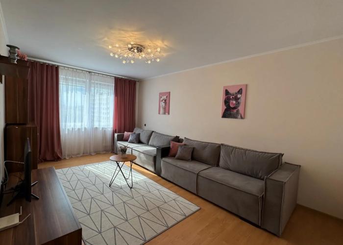 Pereulok Dzerzhinskogo 10 Apartments