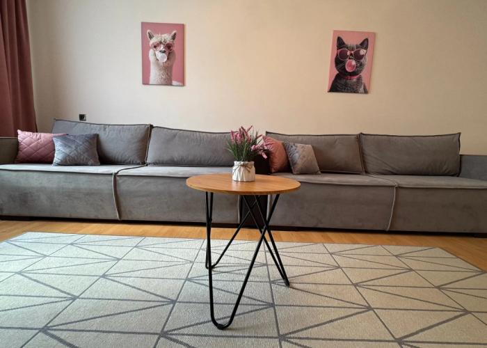 Pereulok Dzerzhinskogo 10 Apartments