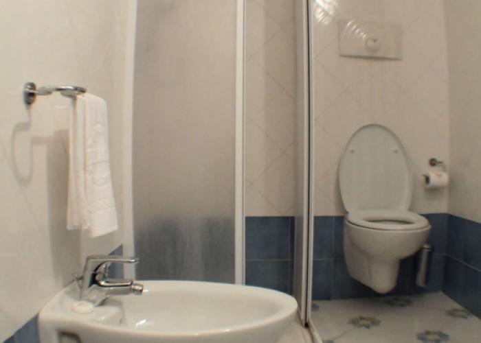 Gatto Bianco Le Dimore