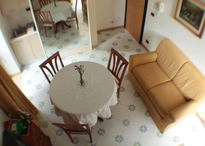 Gatto Bianco Le Dimore