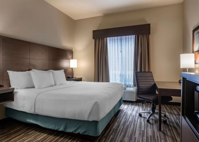 Best Western Plus Dartmouth Hotel & Suites
