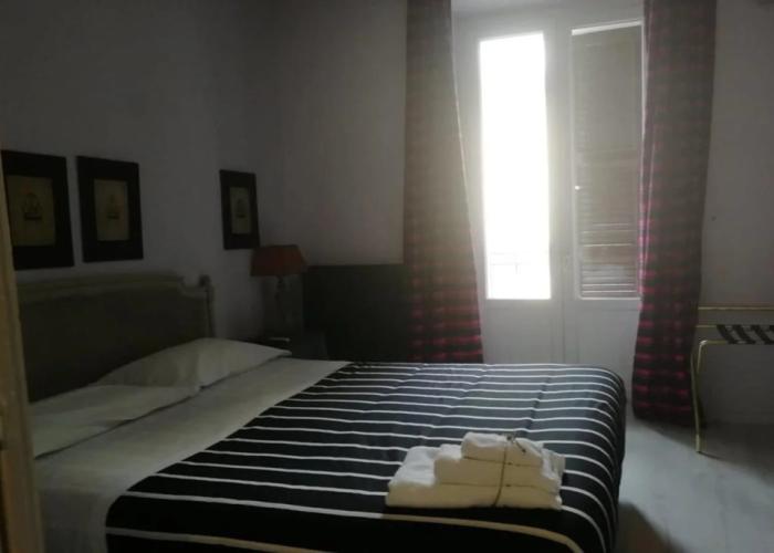 Gatto Bianco Casa dei Venti