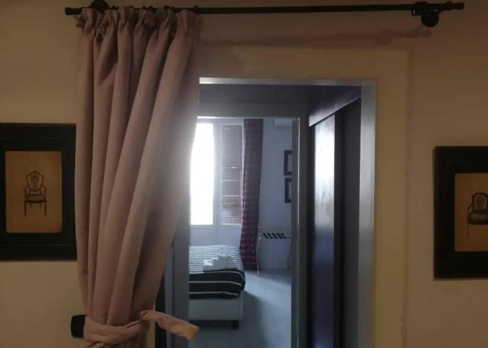 Gatto Bianco Casa dei Venti