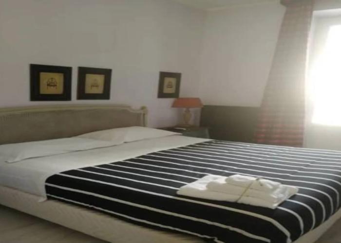 Gatto Bianco Casa dei Venti