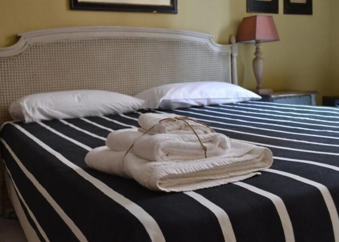 Gatto Bianco Casa dei Venti