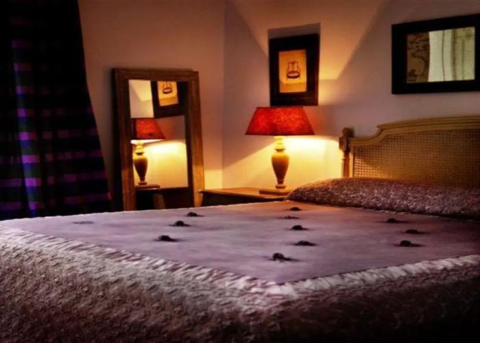 Gatto Bianco Casa dei Venti