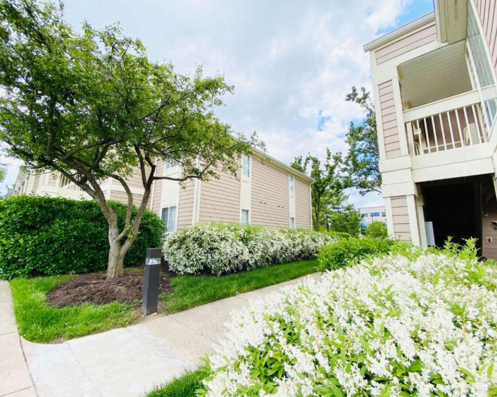 Sonesta ES Suites Dulles Airport