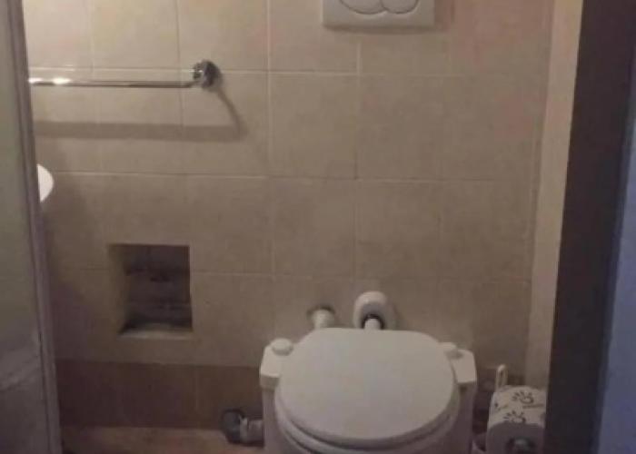 Gatto Bianco Picone 19