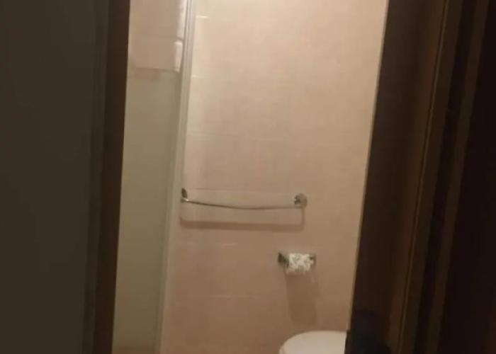 Gatto Bianco Picone 19