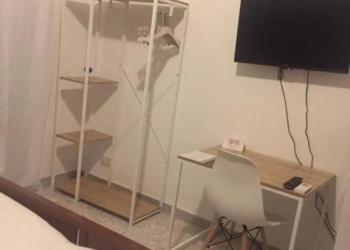 Gatto Bianco Picone 19