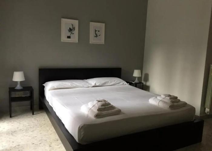 Gatto Bianco Picone 19