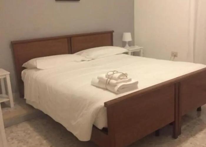 Gatto Bianco Picone 19