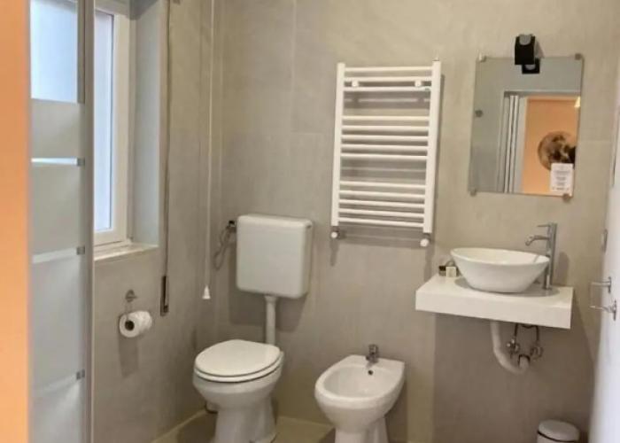 Gatto Bianco Picone 19