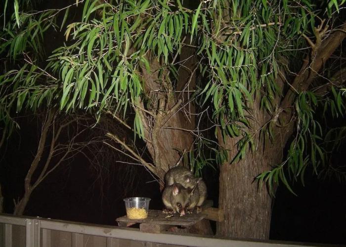 Breeze Inn Ulladulla