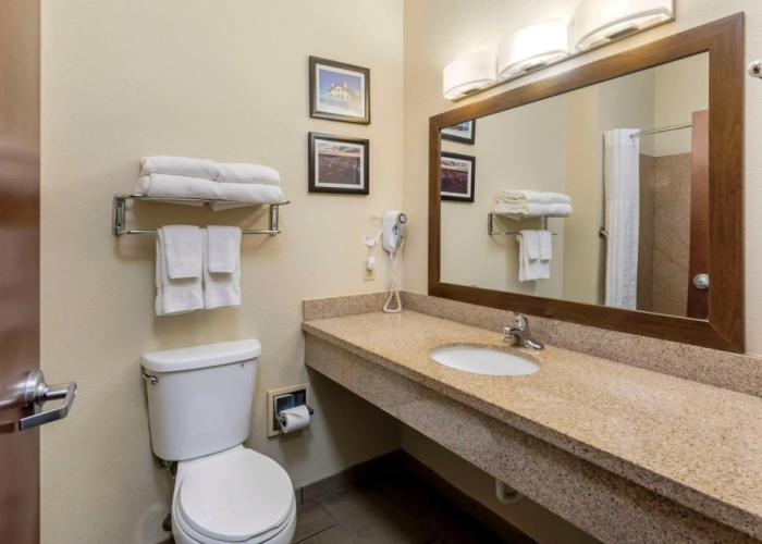 Comfort Suites Cullman I-65 Exit 310