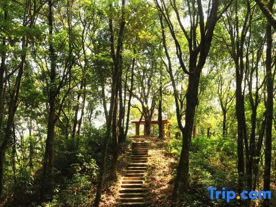Xinfeng Utop Spring Primeval Forest Resorts