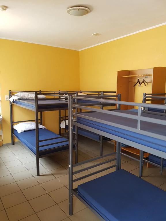 фото Hostel van Gogh