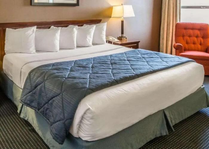 Quality Inn Schaumburg - Chicago near the Mall