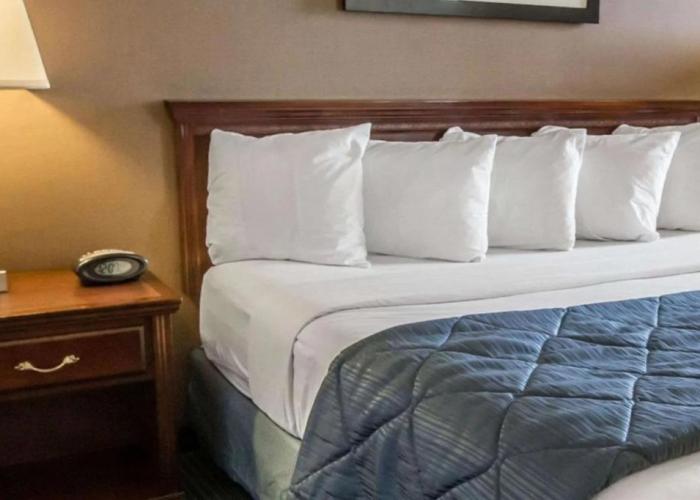 Quality Inn Schaumburg - Chicago near the Mall