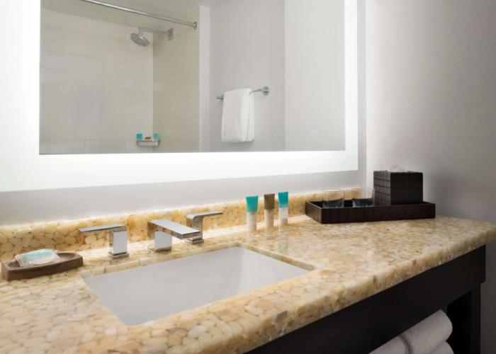 Hyatt Regency Schaumburg Chicago