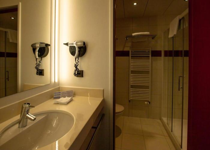 Airport Hotel Basel