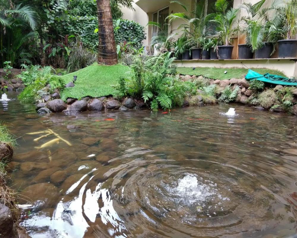 фото Hotel Maratha Regency
