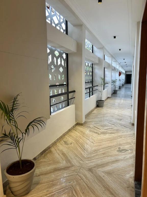 фото Alba Premier Kolhapur