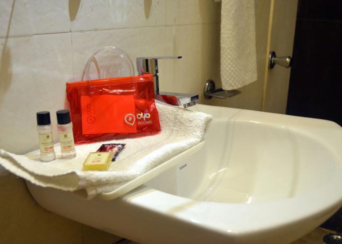 OYO 694 Hotel Malik Residency