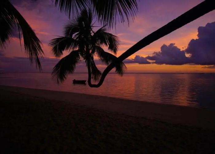 The Beachouse