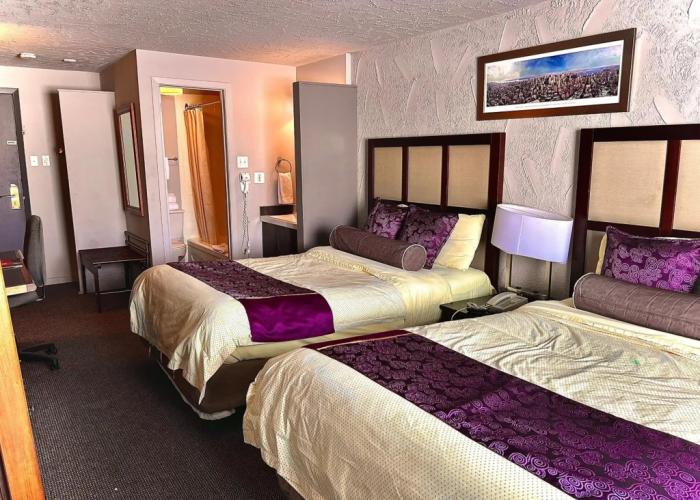 Hotel L'Express