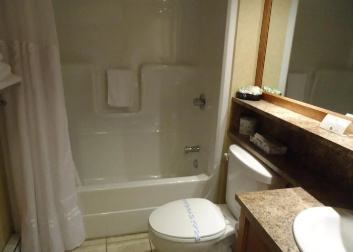 Hotel L'Oie des neiges