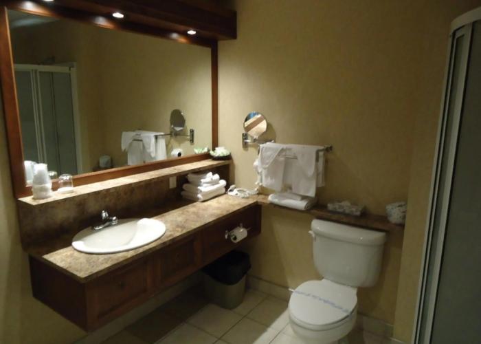 Hotel L'Oie des neiges