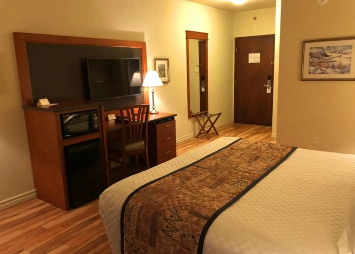 Hotel L'Oie des neiges