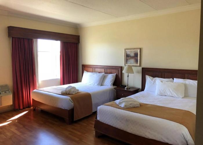 Hotel L'Oie des neiges