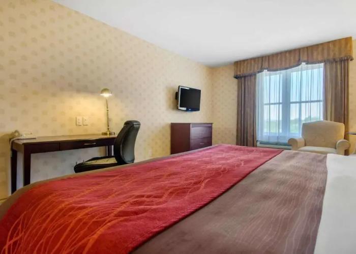 Comfort Inn & Suites