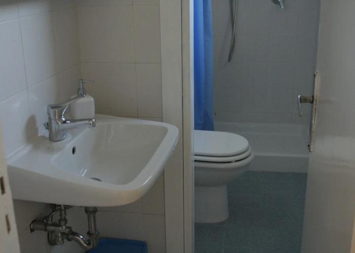 Urban Oasis Hostel