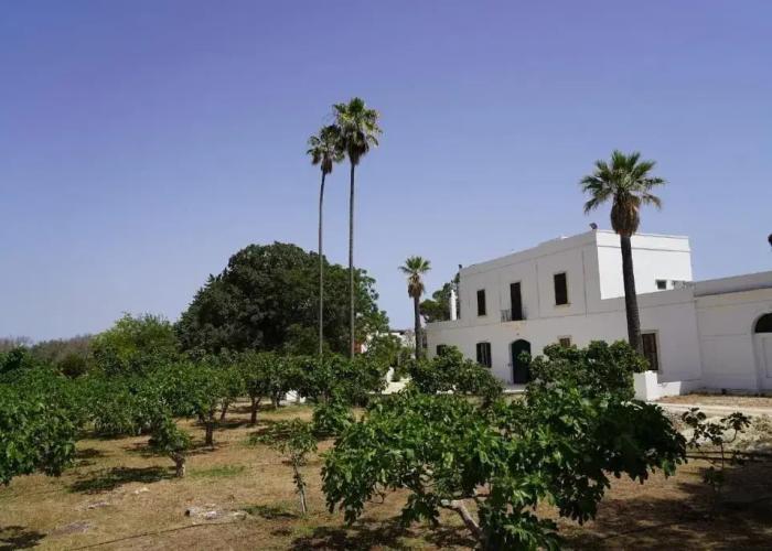 Filippo de Raho Agri Bio Relais