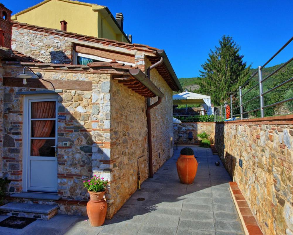 фото Flavia