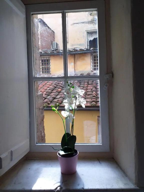 фото Lucca Charm
