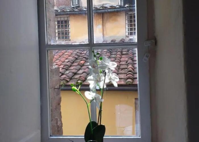 Lucca Charm